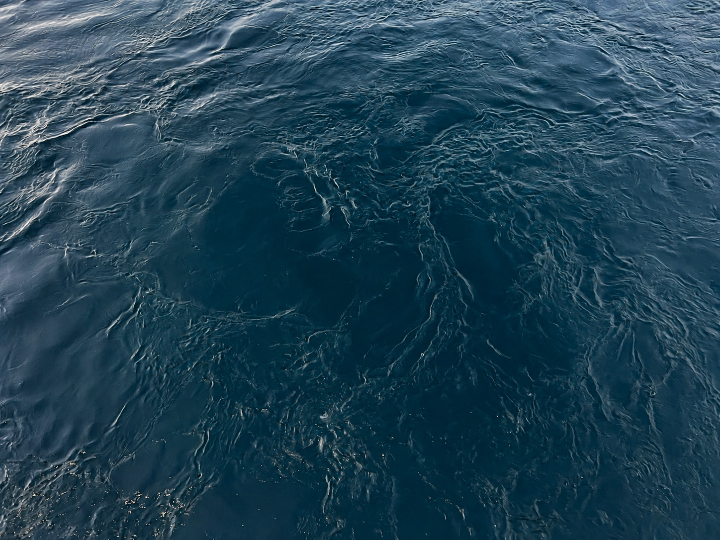 Aremu — Photo 01