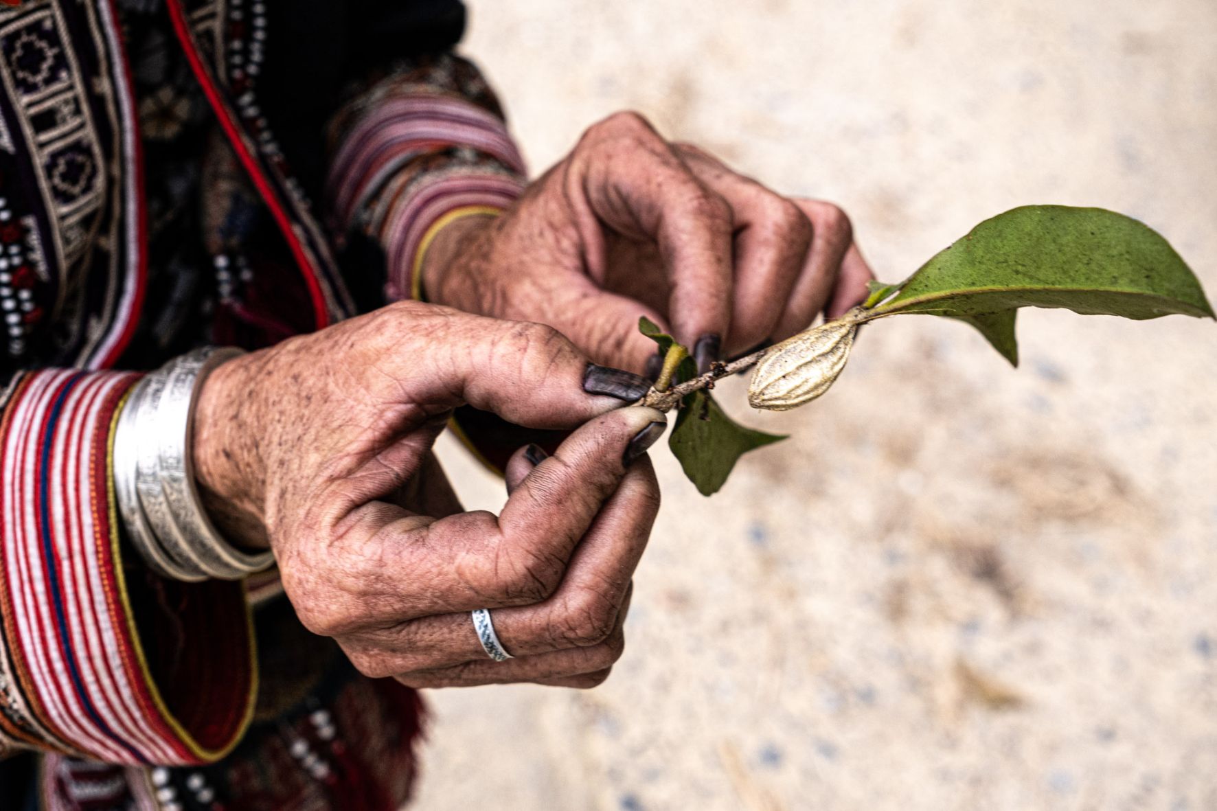 A woman bringing a yellow flower close to her face